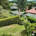 Fw Doris * ルーラ